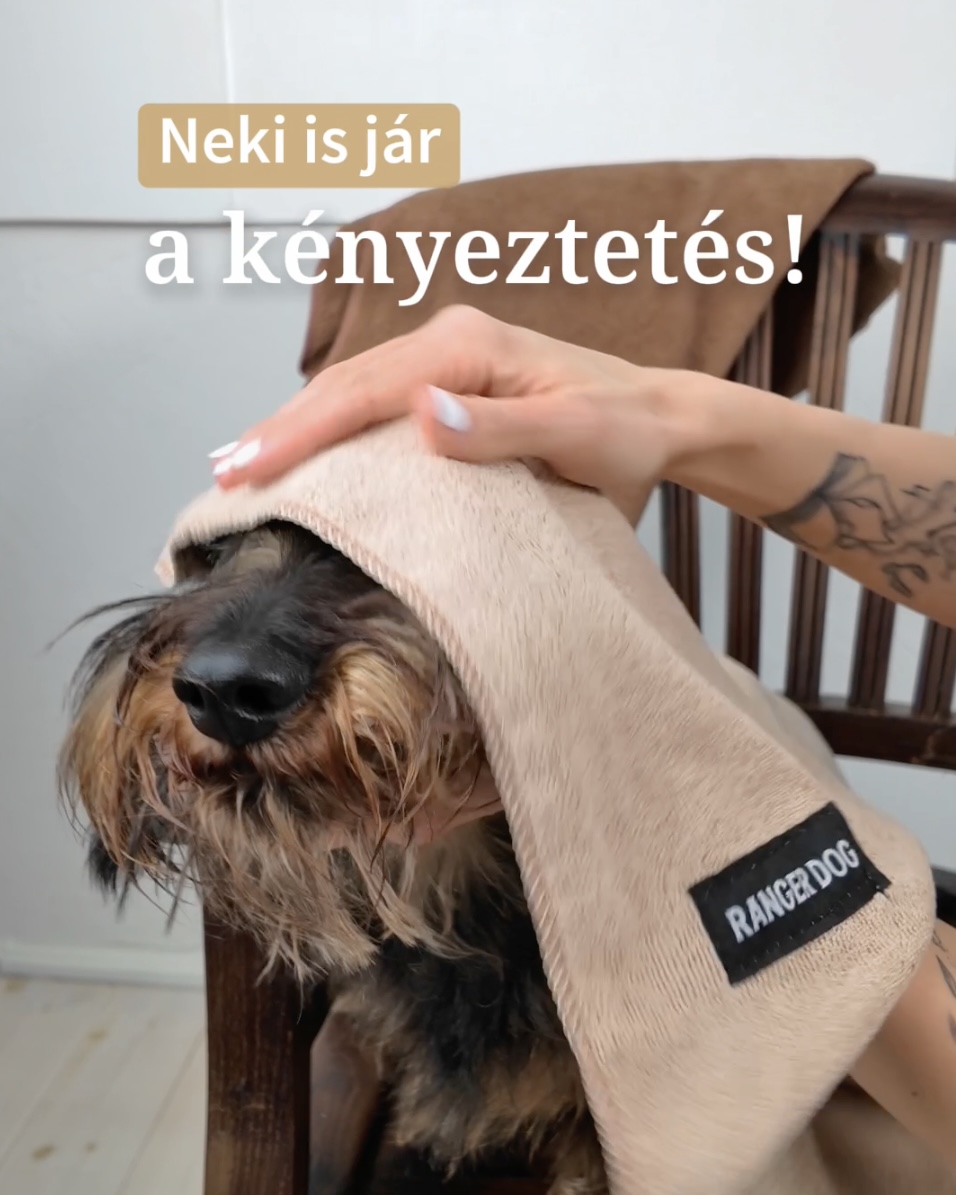 SUPERHERO mikroszálas kutyatörölköző, bézs